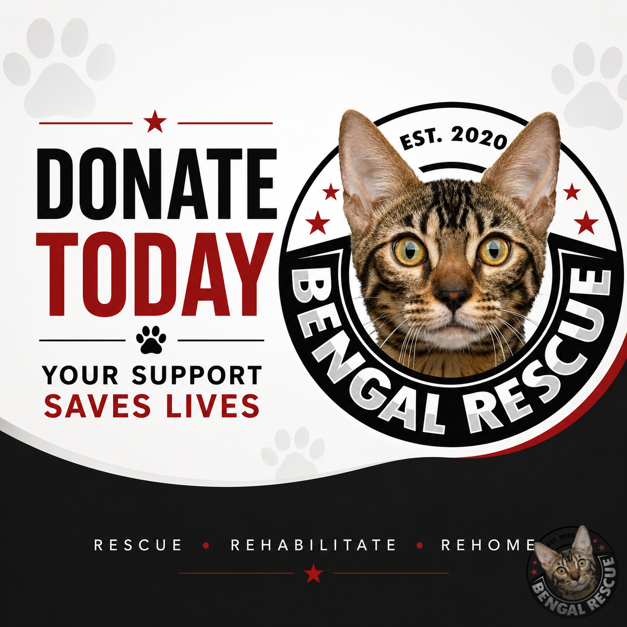 Donate to Bengal Rescue