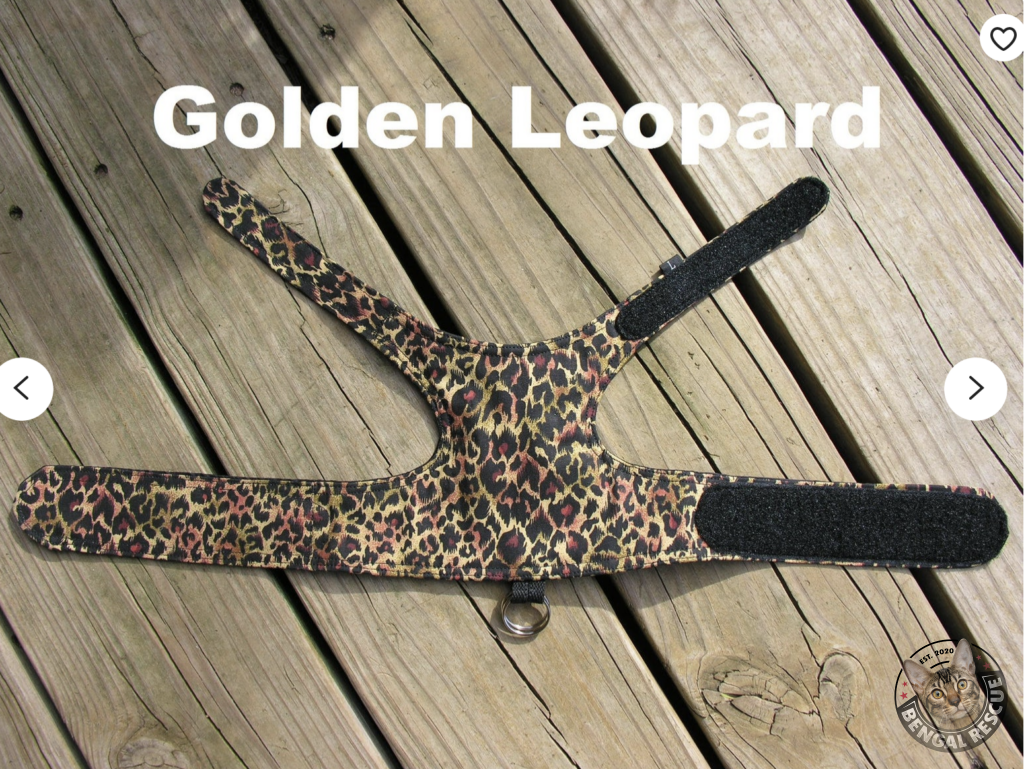 Training Bengal Rescue